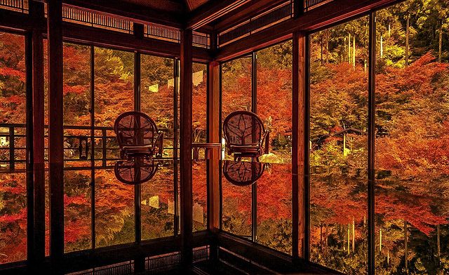 Kankyo Geijutsu no Mori - fall view from the fuyusanso