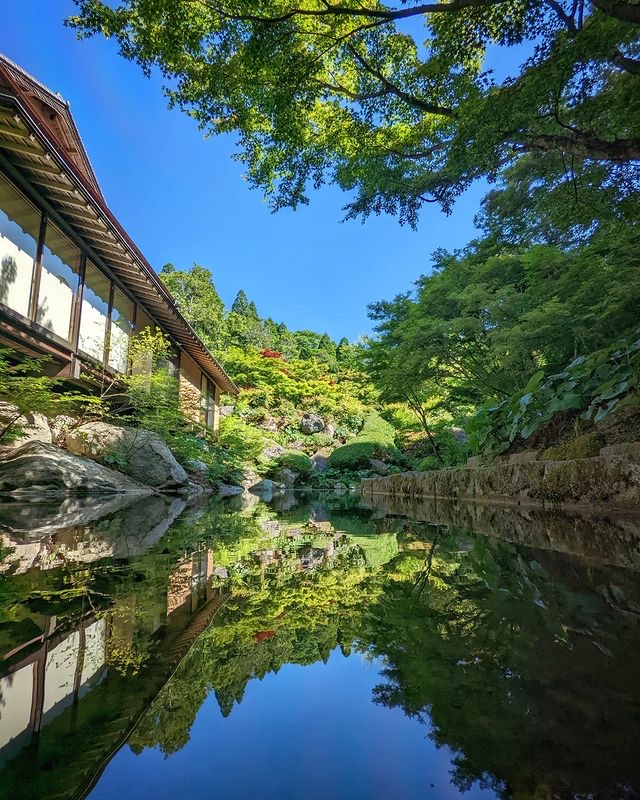 Kankyo Geijutsu no Mori - pond