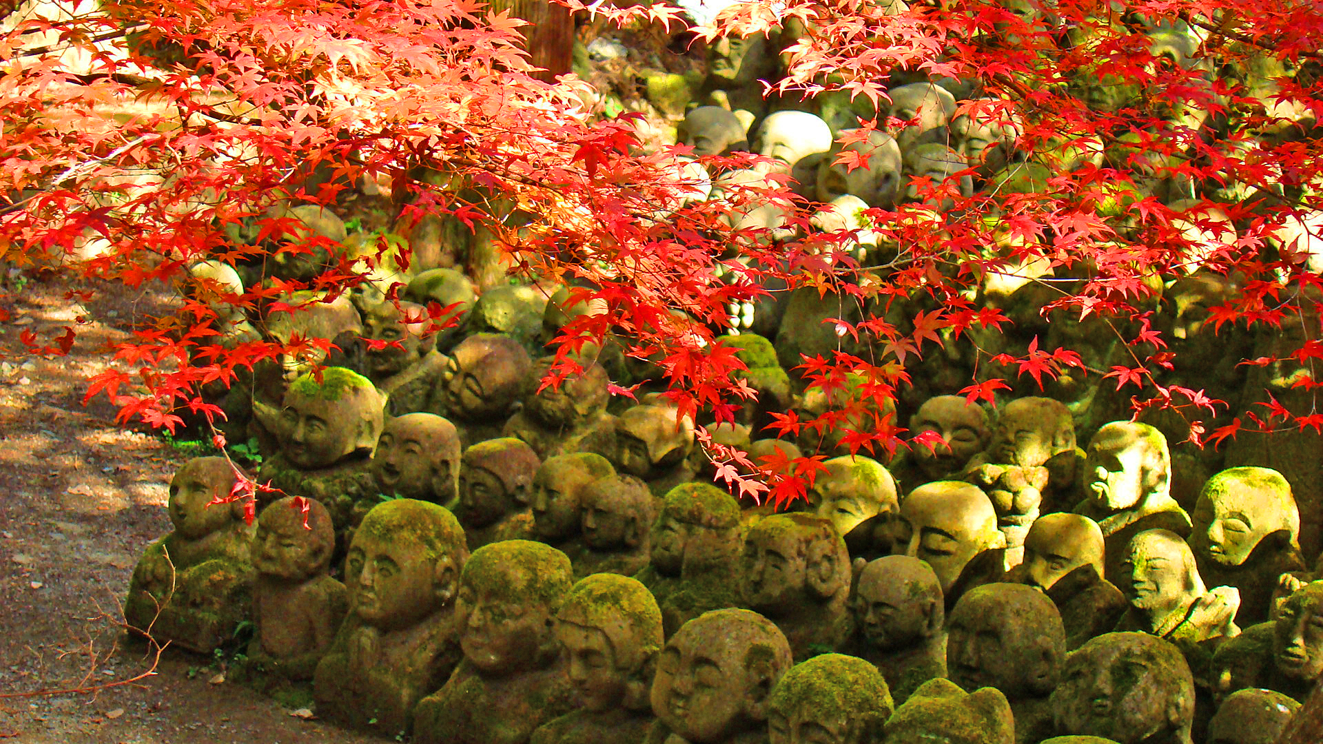 Otagi Nenbutsu-ji - rakan statues under autumn leaves