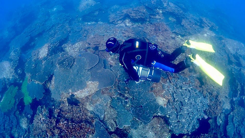 Susami Bay - diving to the underwater post box