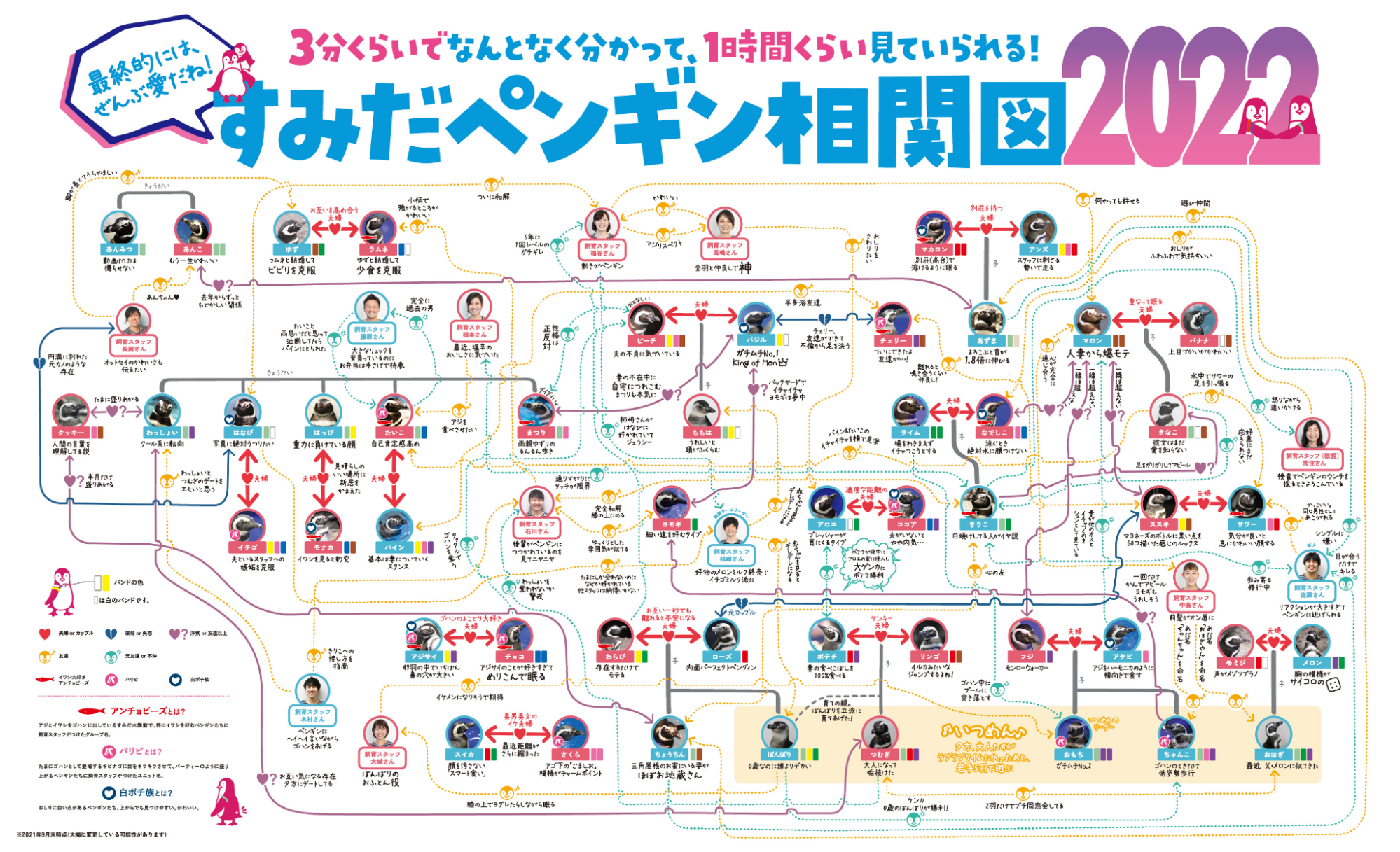 Sumida Aquarium - penguin love chart 2022