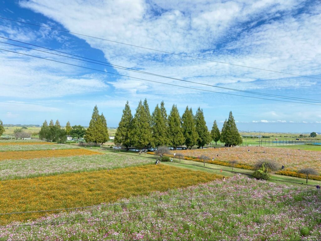 Akebonoyama Agricultural Park - expansive meadows