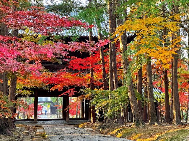 Sogenji - autumn foliage