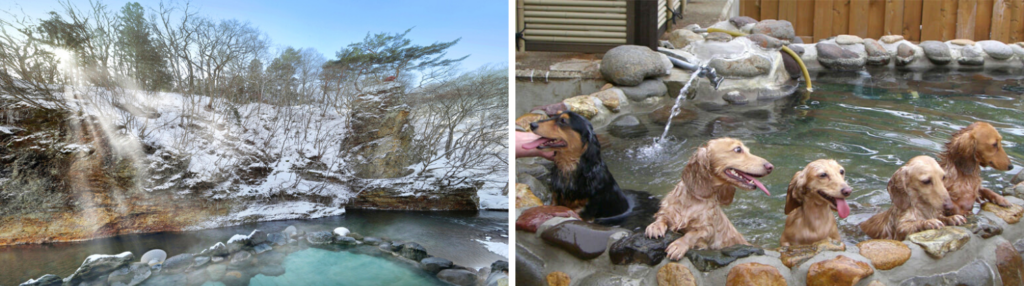 Tohoku Onsen Villages - Wanwankan for dog visitors