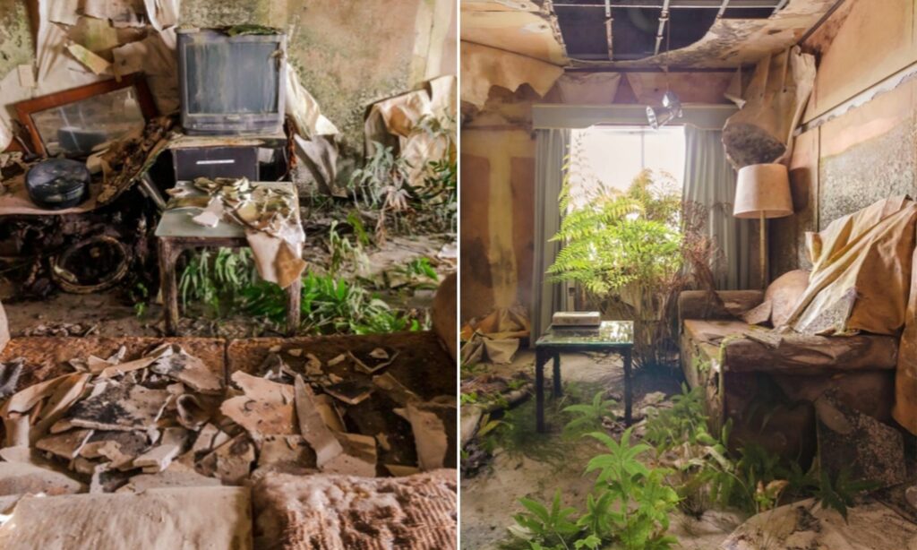 Abandoned places in Japan - Collage of one of Hachijo Oriental Resort's rooms overgrown with greenery