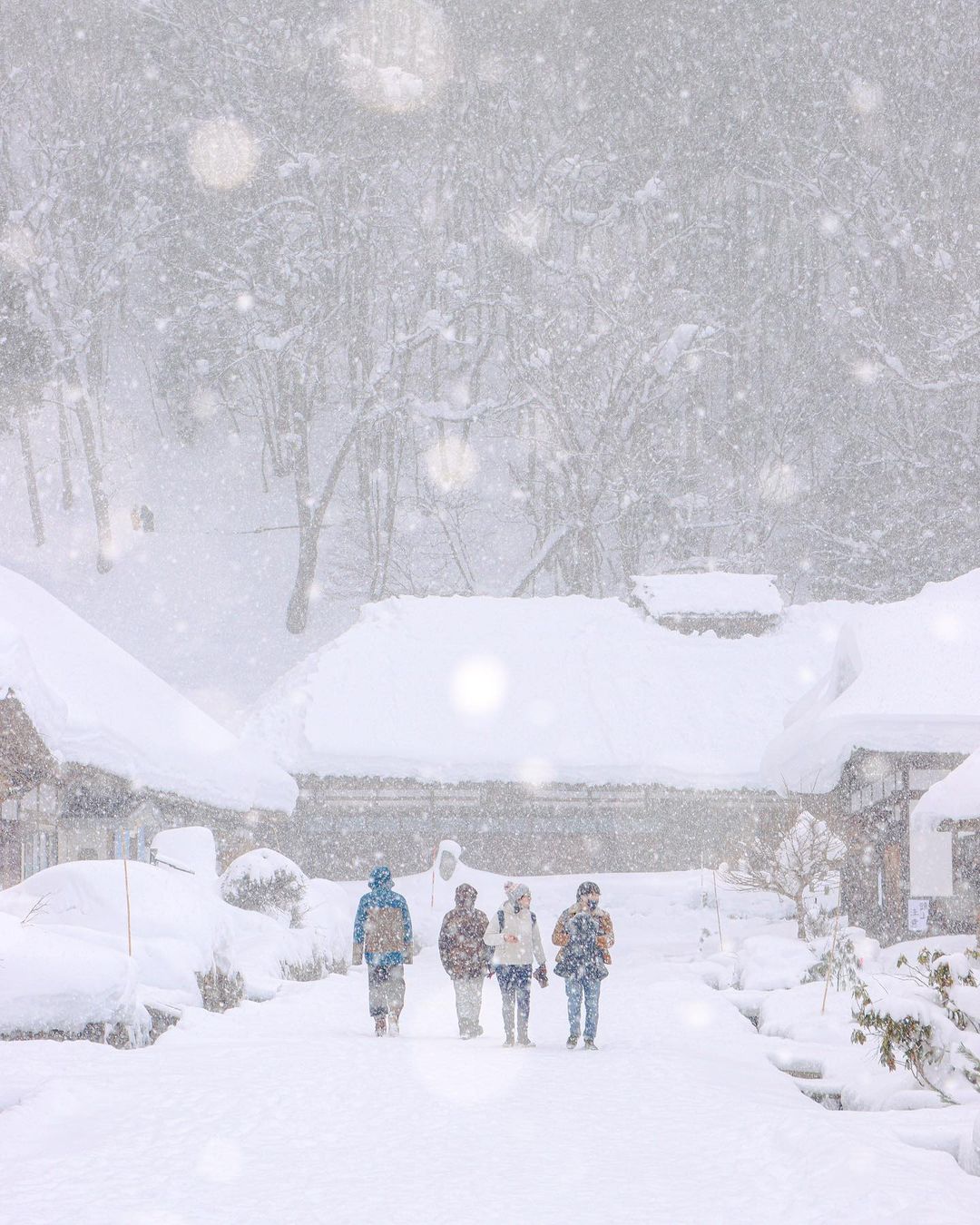 Where to find snow in Japan