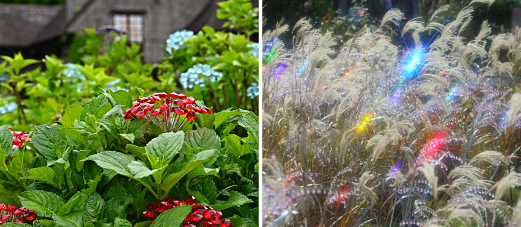Hakone Garasunomori Museum - flowers and cattails made from glass