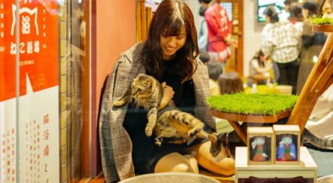 Neko-Yokujo: Bathhouse & Cat Cafe In Osaka To Play & Sleep With Cats