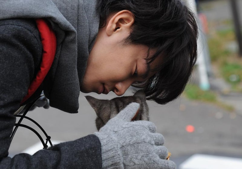 Takeru Satoh Facts - Takeru Satoh petting the cat in the movie If Cats Disappeared From the World