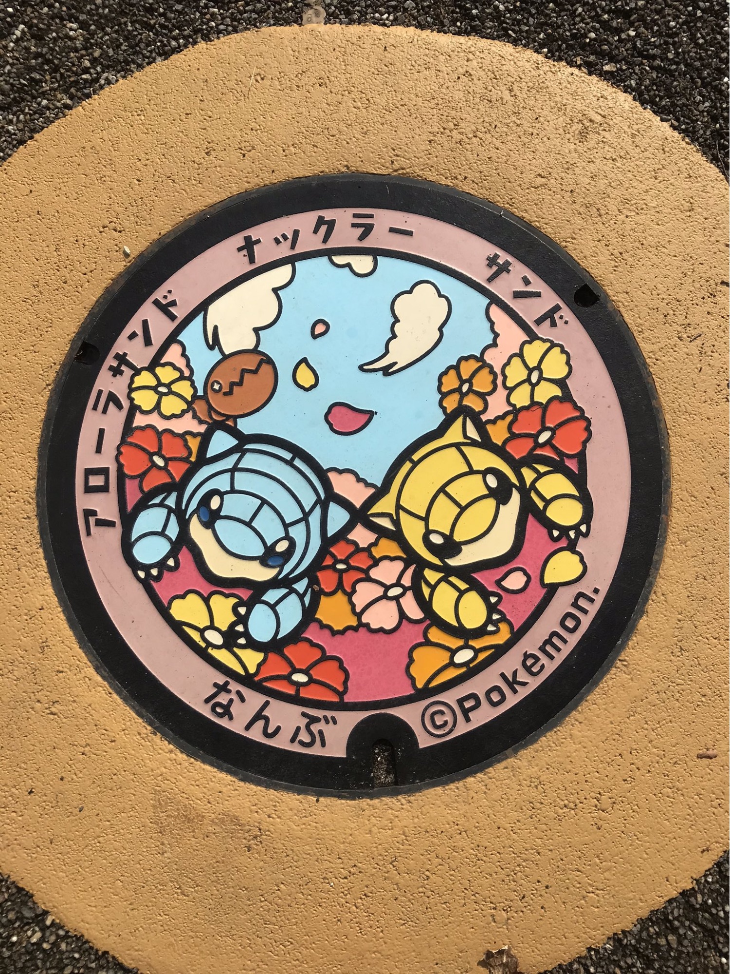 Pokémon fun facts - pokemon manhole