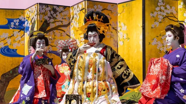 Types of sakura - ichiyo sakura festival