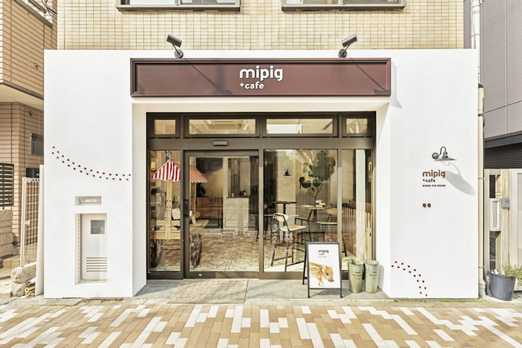 mipig cafe - exterior