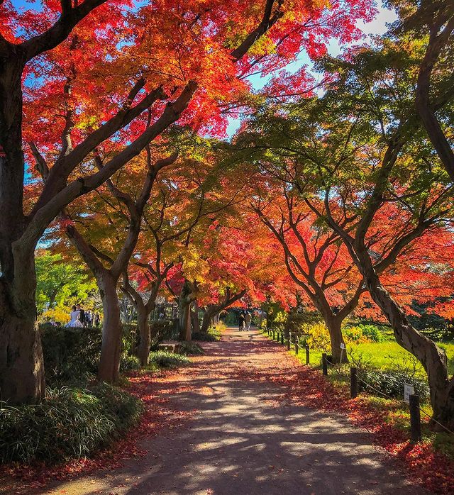 tokyo tourist street