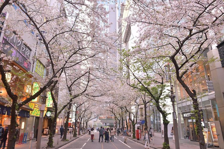 tokyo tourist street