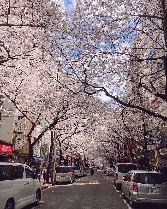 tokyo tourist street