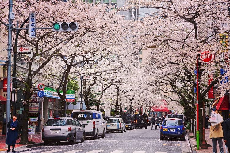 tokyo tourist street