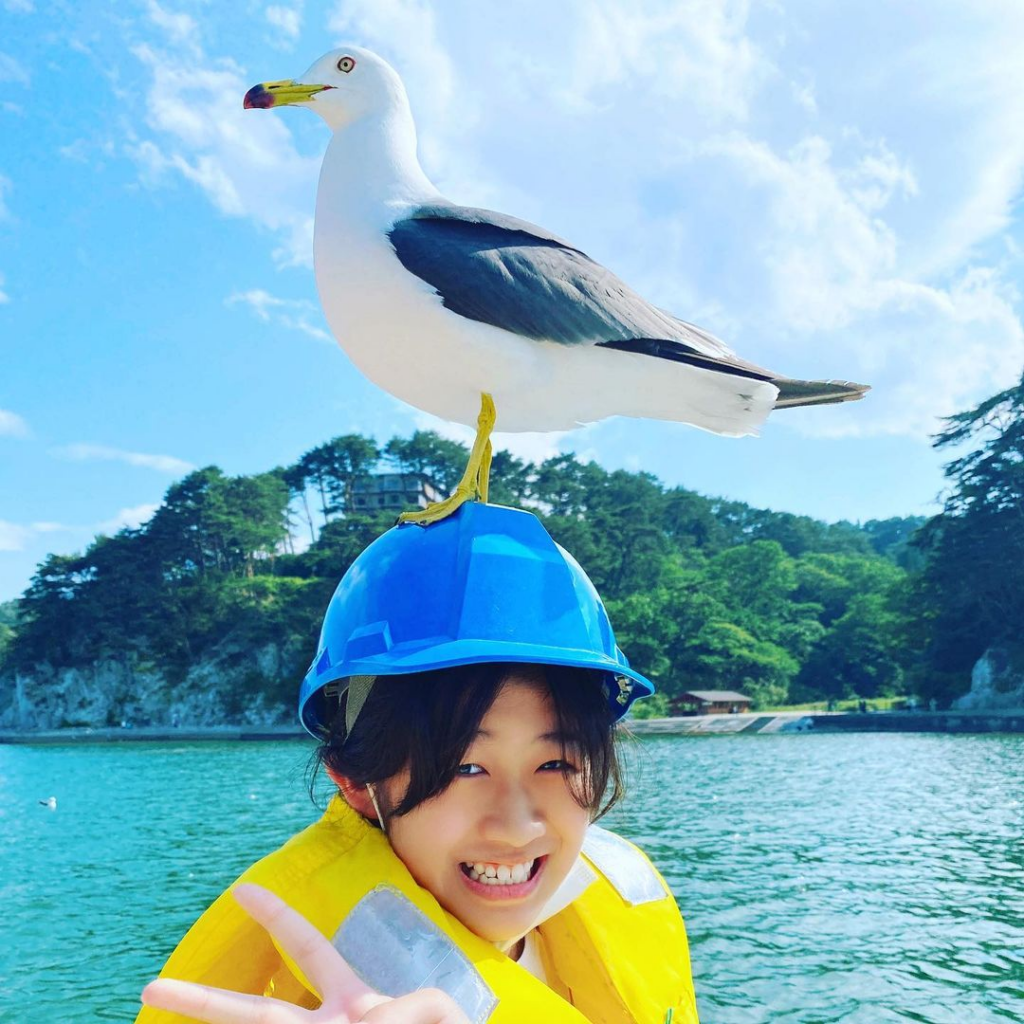 beaches in japan - seagull