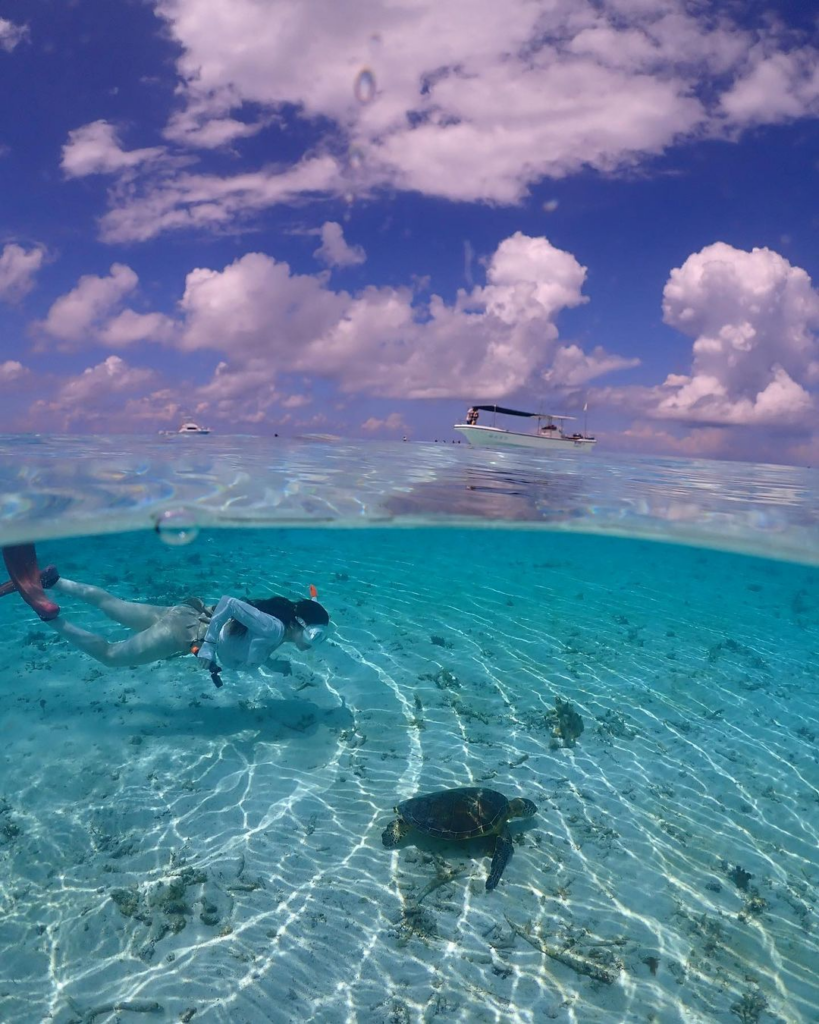 beaches in japan - snorkel