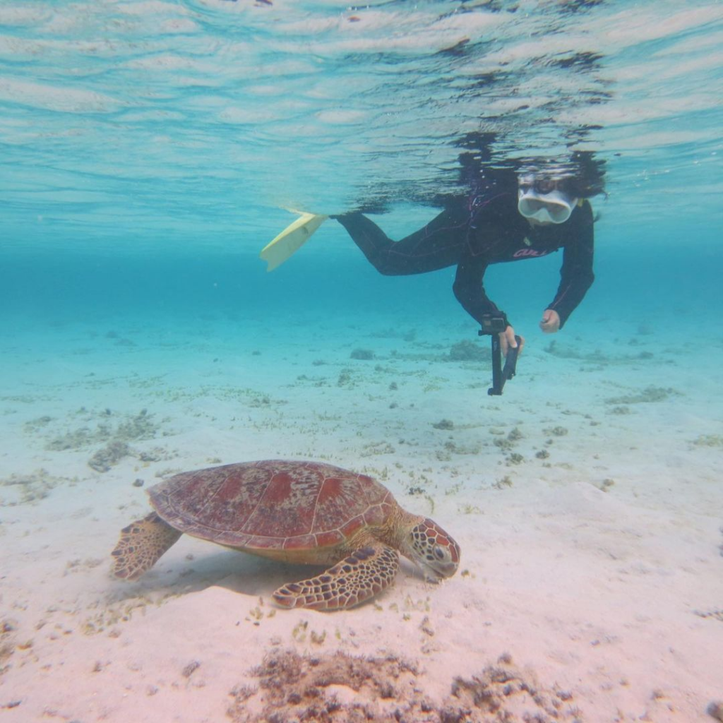 beaches in japan - snorkel2