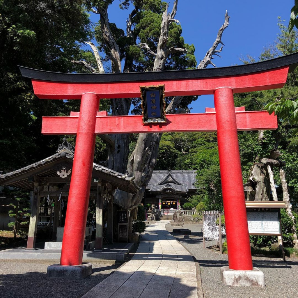 beaches in japan - torii2